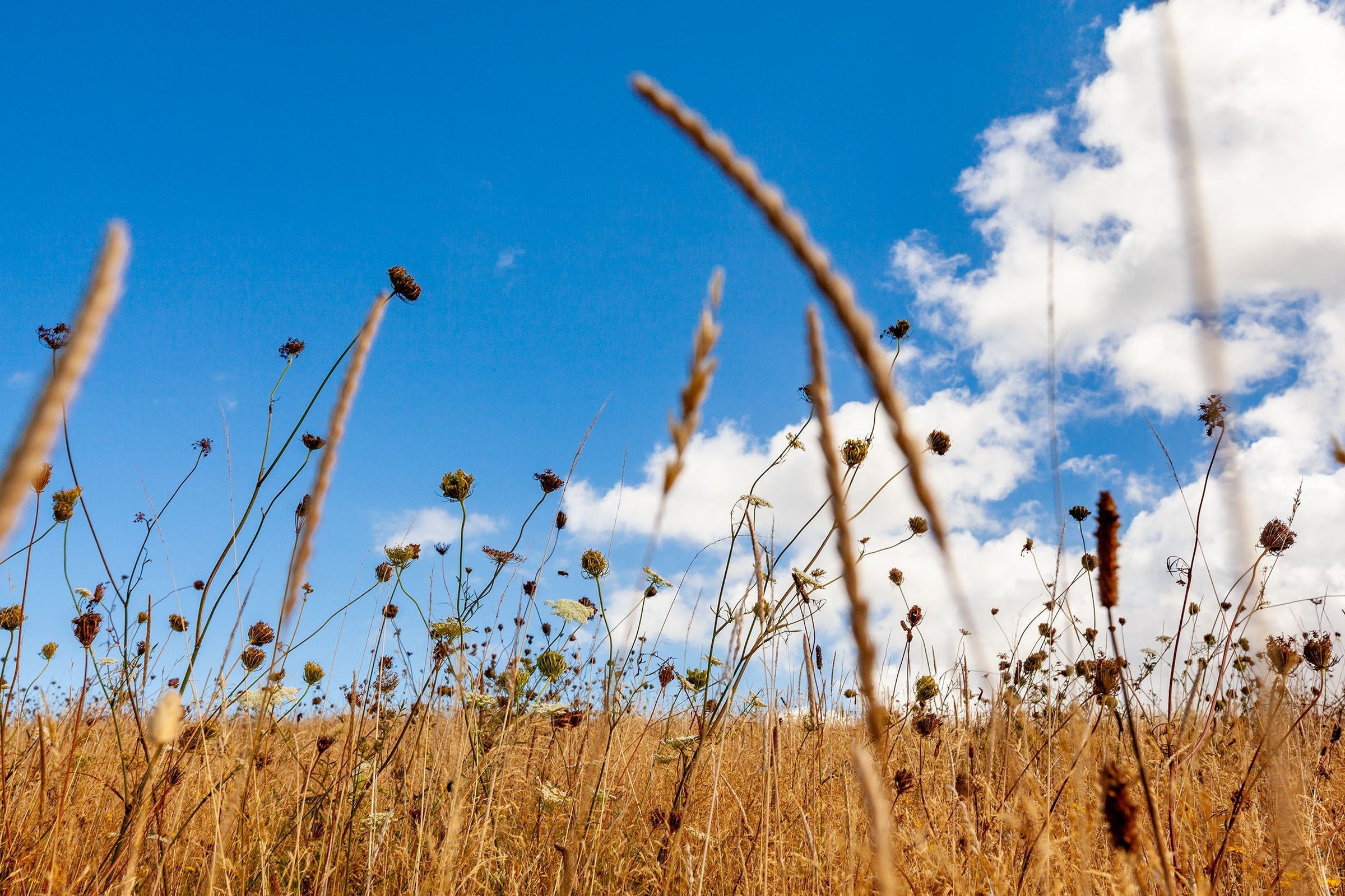 Hukatere Fields