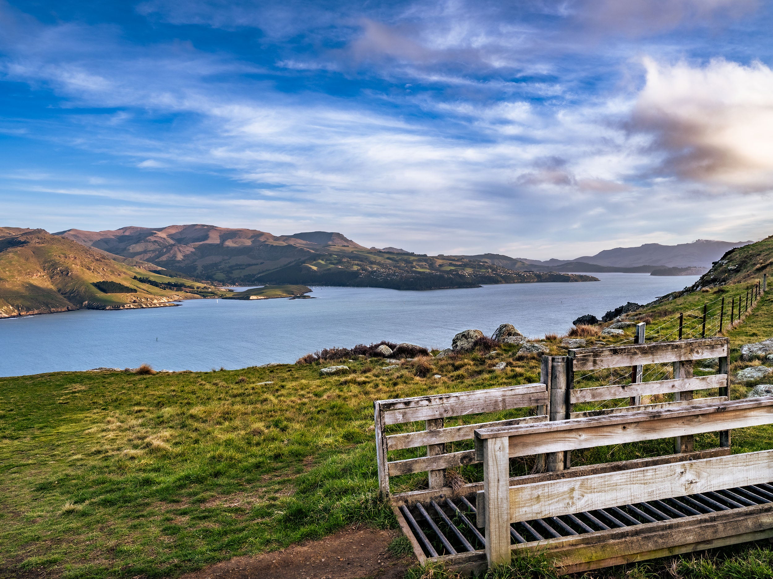 Scarborough-Reserve-Christchurch_James-Hancox-Photographer-New-Zealand_WEB2_88df2bd8-c04f-4f94-a9e7-0110bd9ddf4f