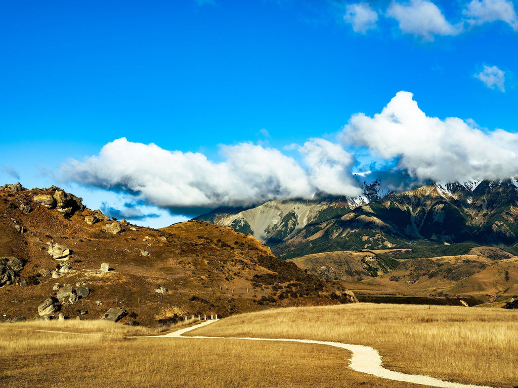 Canterbury Landscape 04
