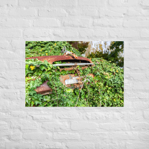 Austin Versus Nature Art Paper Poster