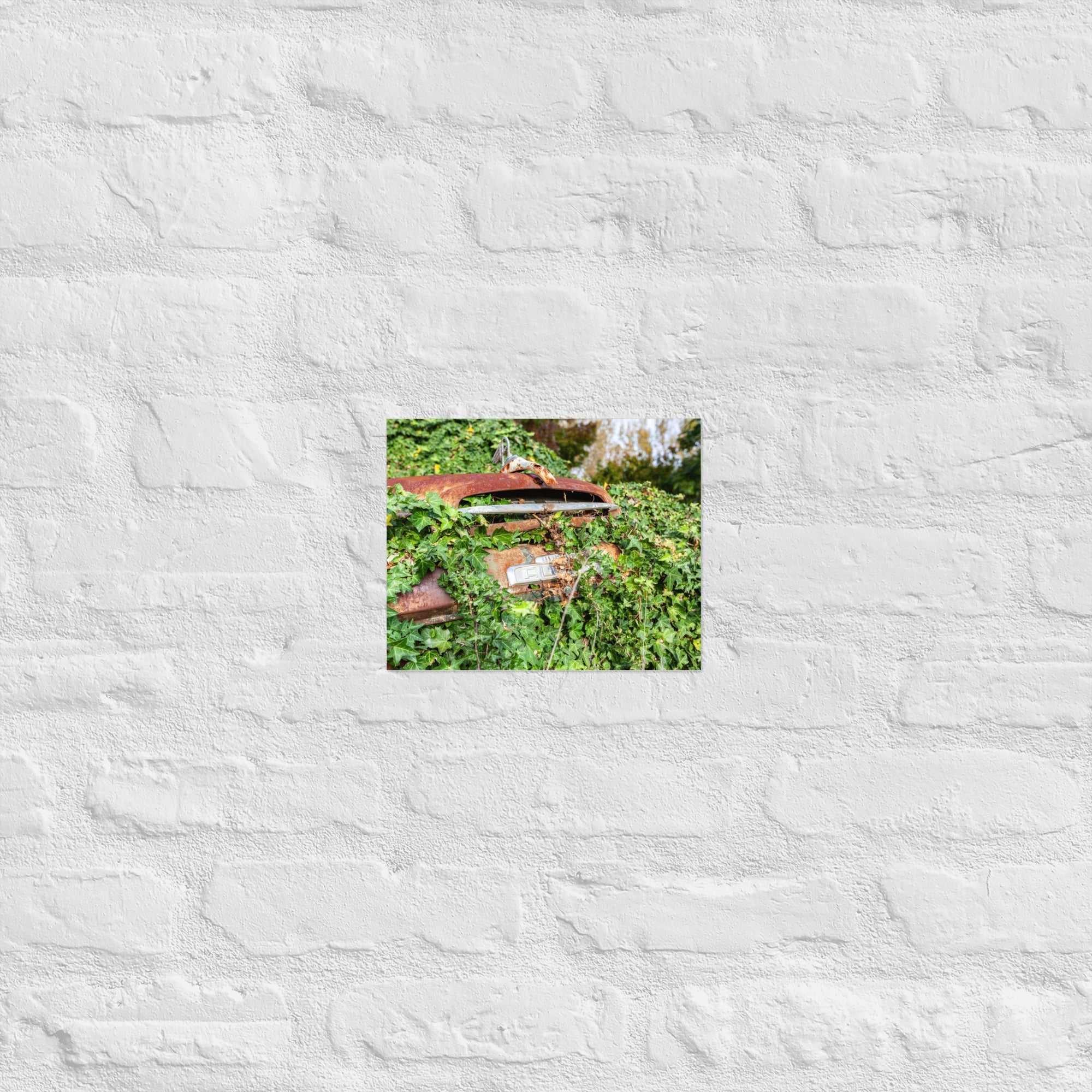 Austin Versus Nature Art Paper Poster