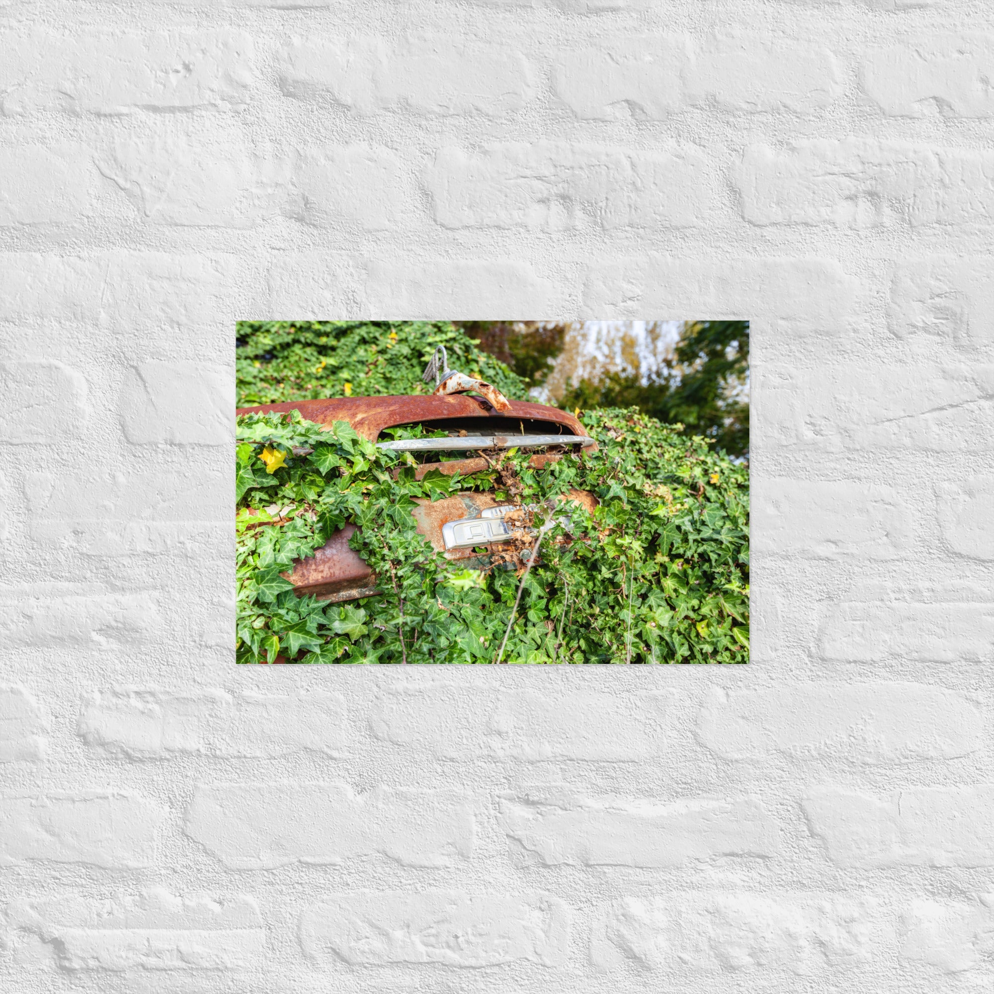 Austin Versus Nature Art Paper Poster