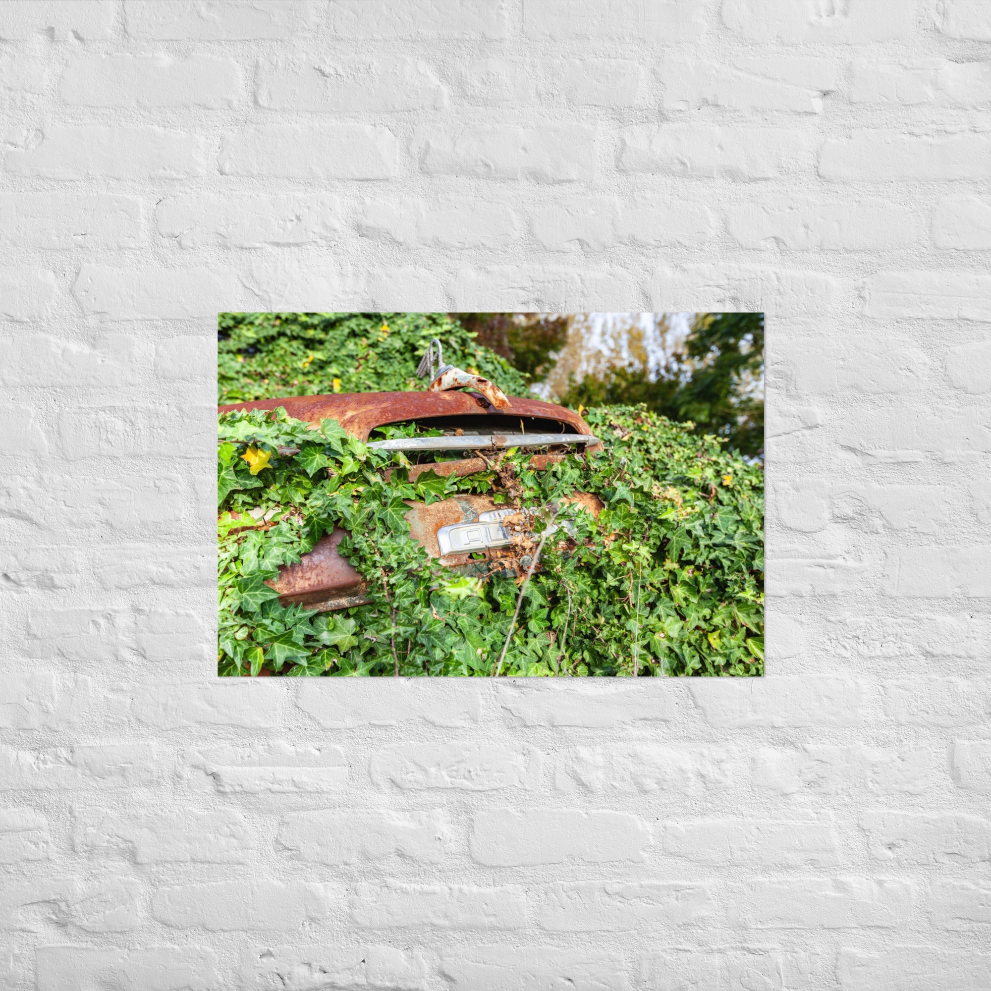 Austin Versus Nature Art Paper Poster