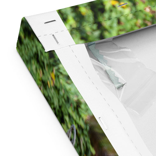 Austin Versus Nature Thick Canvas Print