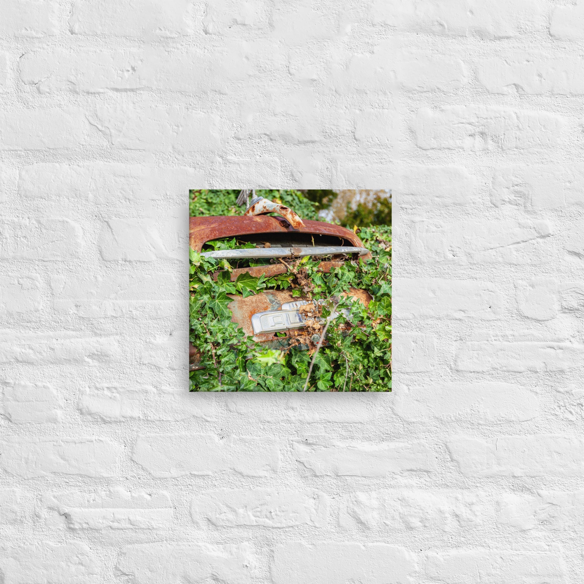 Austin Versus Nature Thick Canvas Print