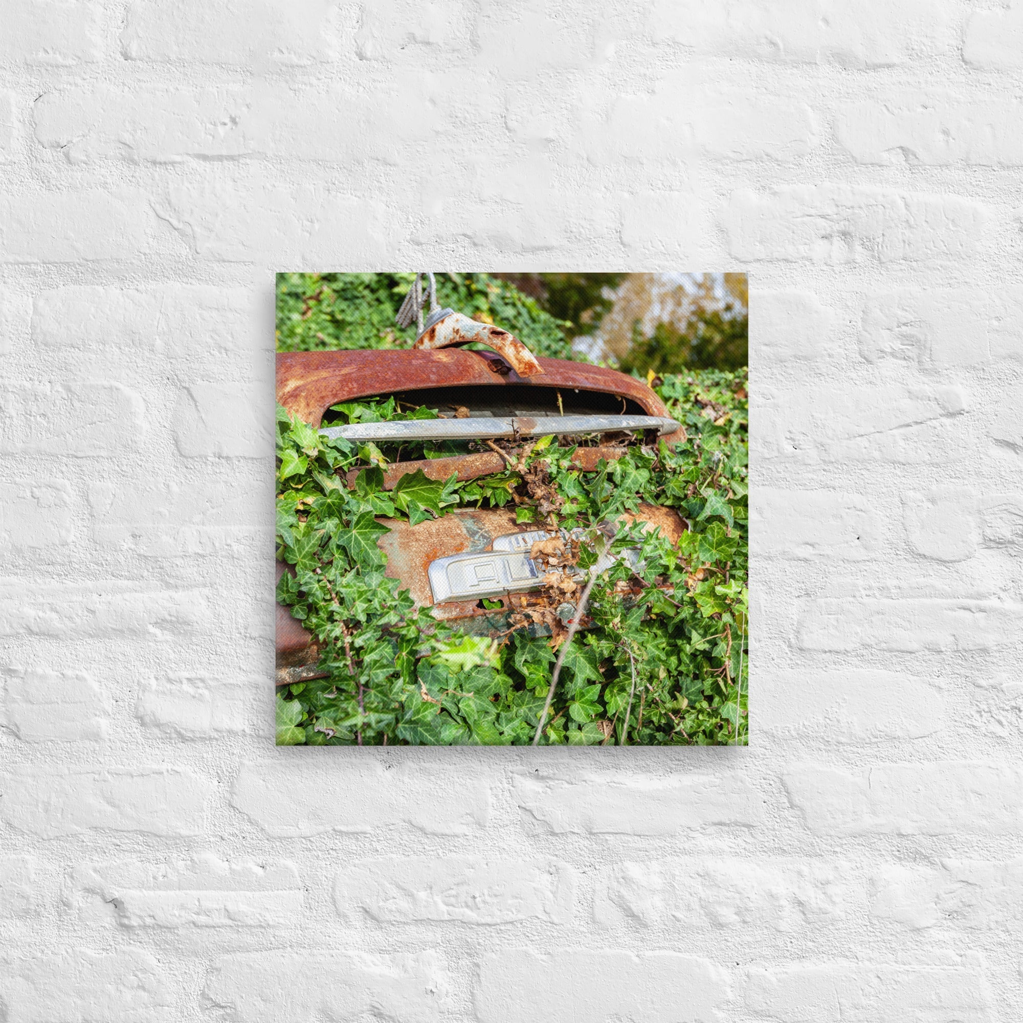 Austin Versus Nature Thick Canvas Print