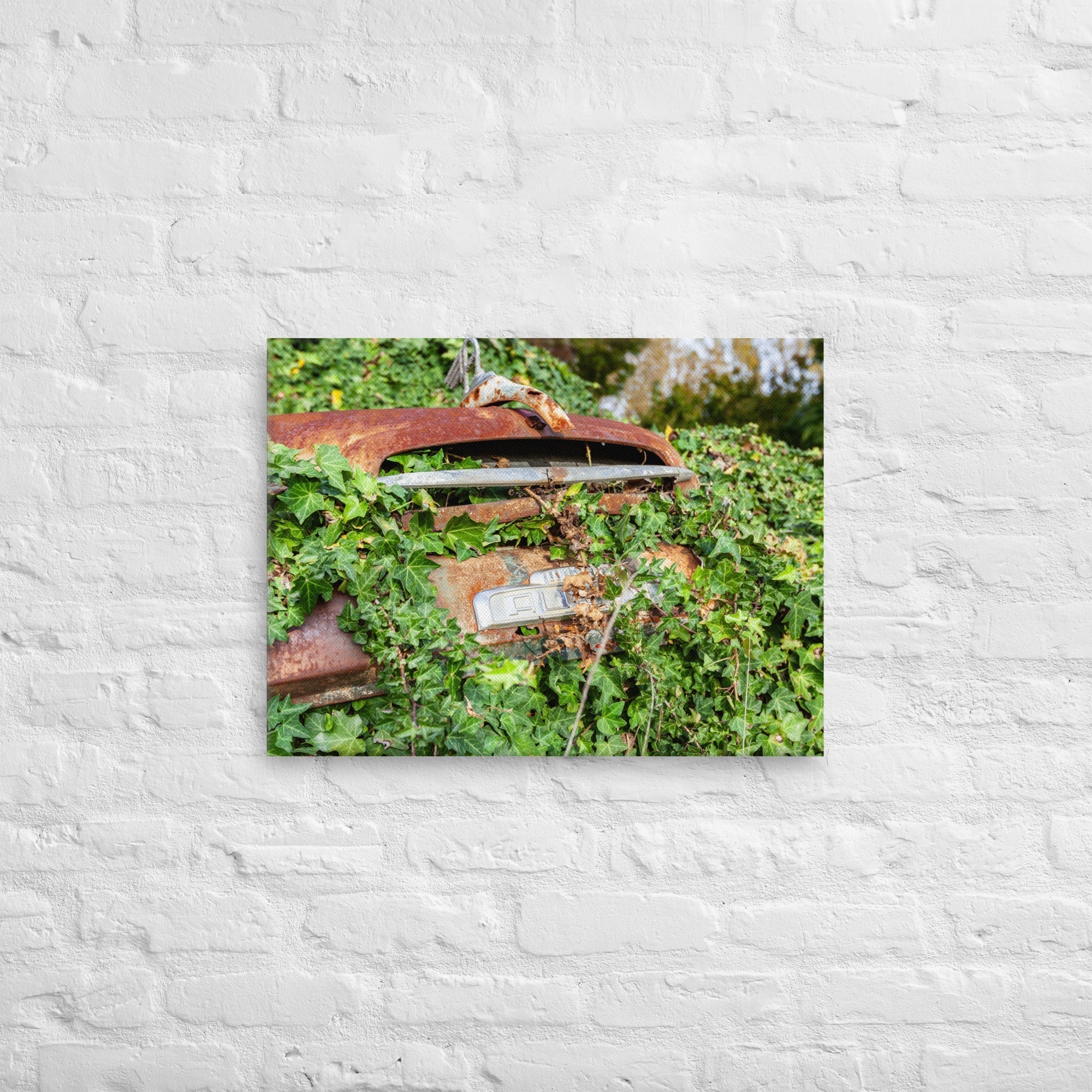 Austin Versus Nature Thick Canvas Print