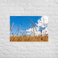Hukatere Fields Art Paper Poster