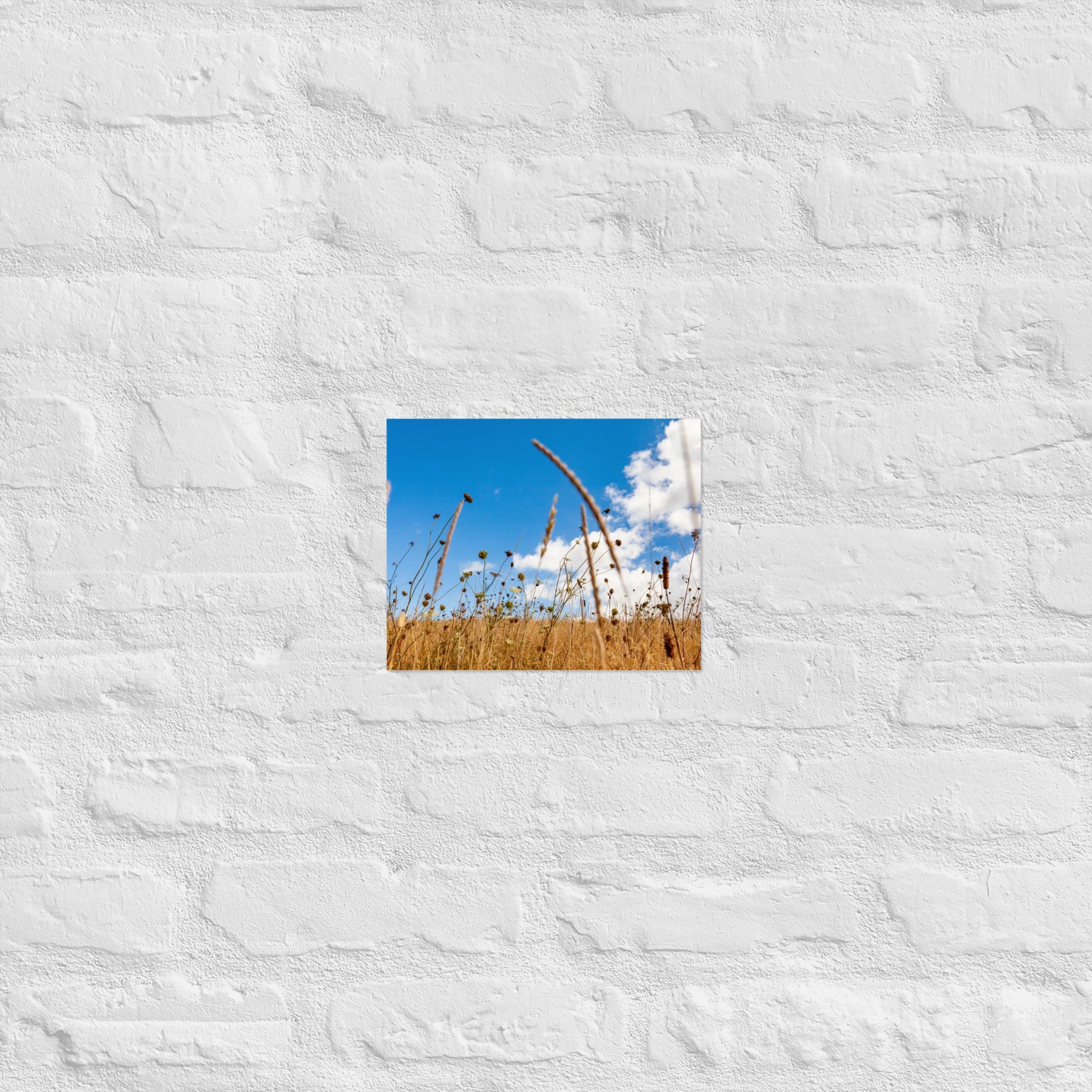 Hukatere Fields Art Paper Poster