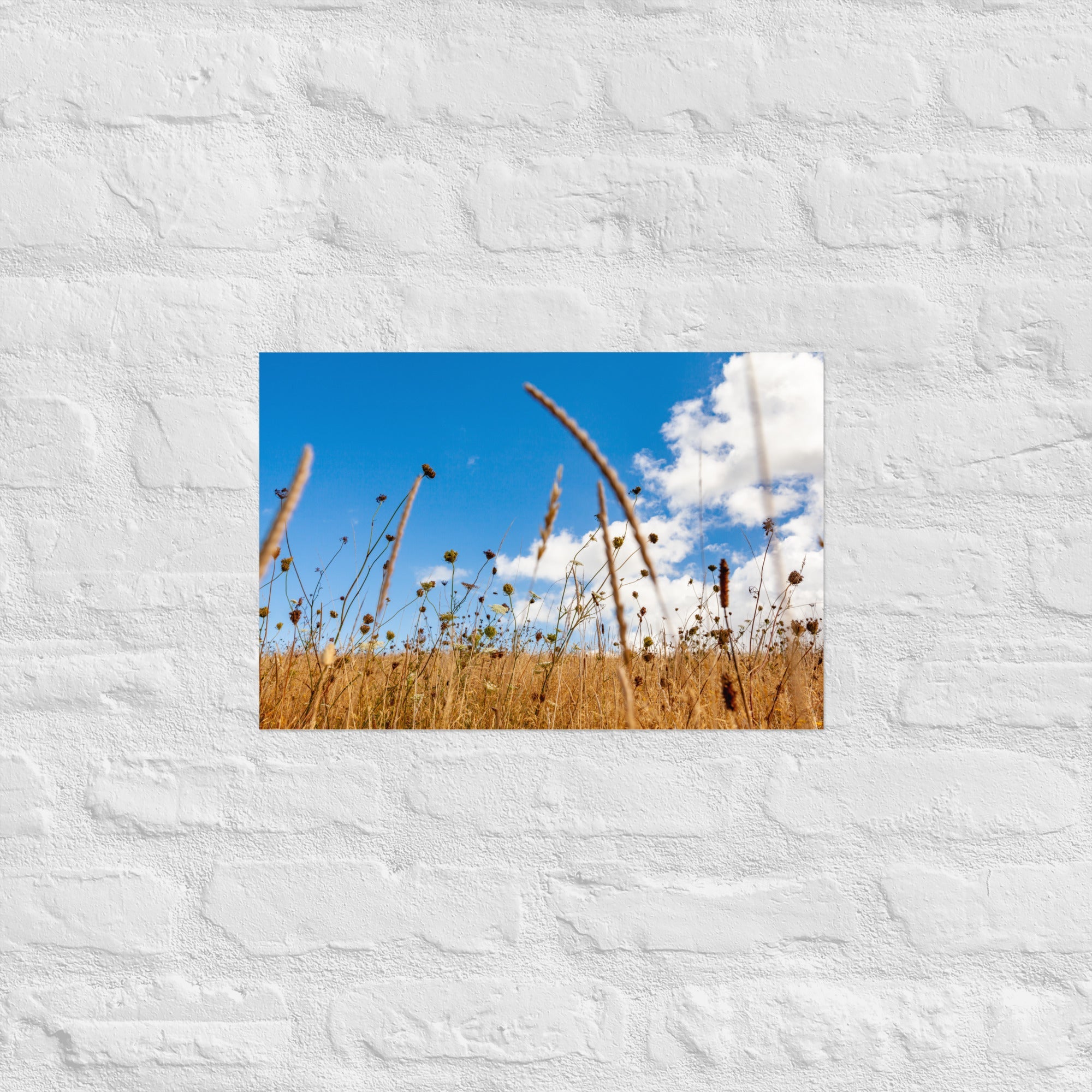 Hukatere Fields Art Paper Poster