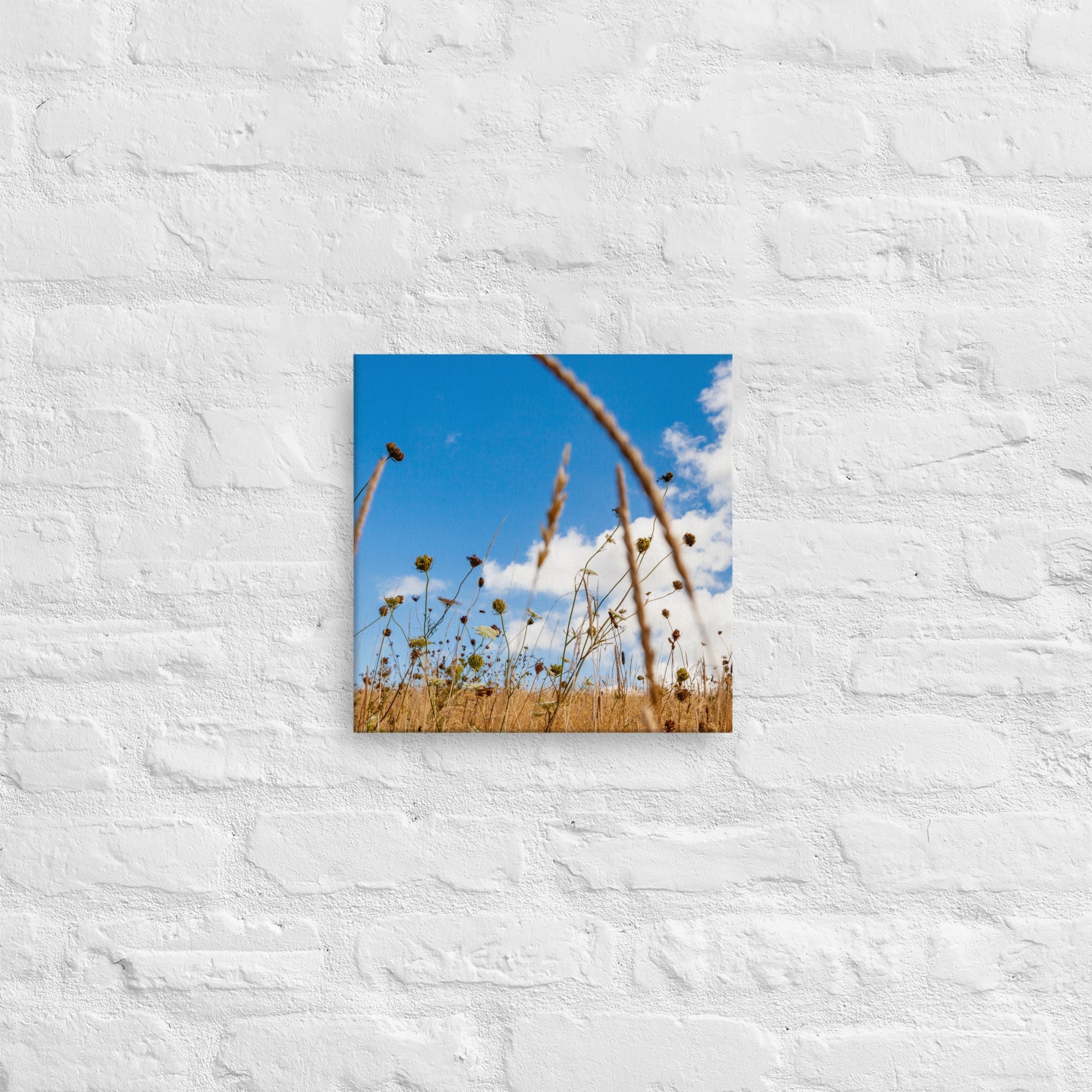 Hukatere Fields Thick Canvas Print