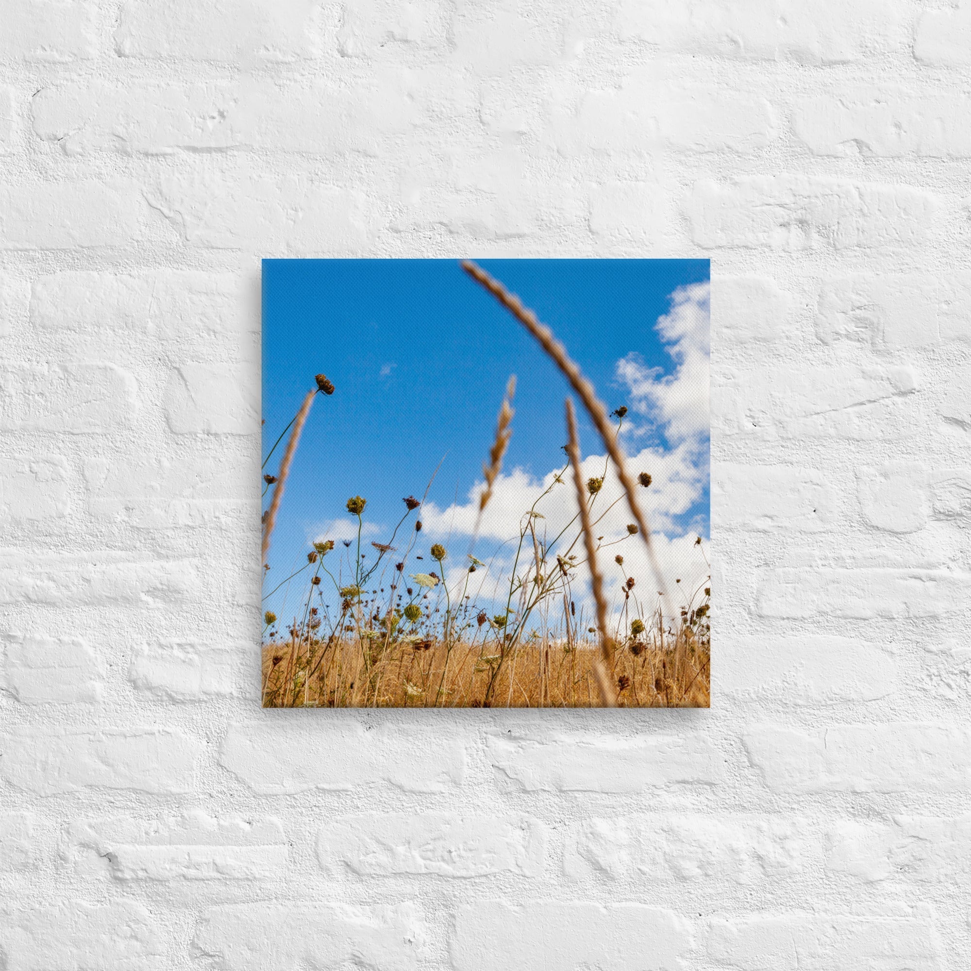 Hukatere Fields Thick Canvas Print