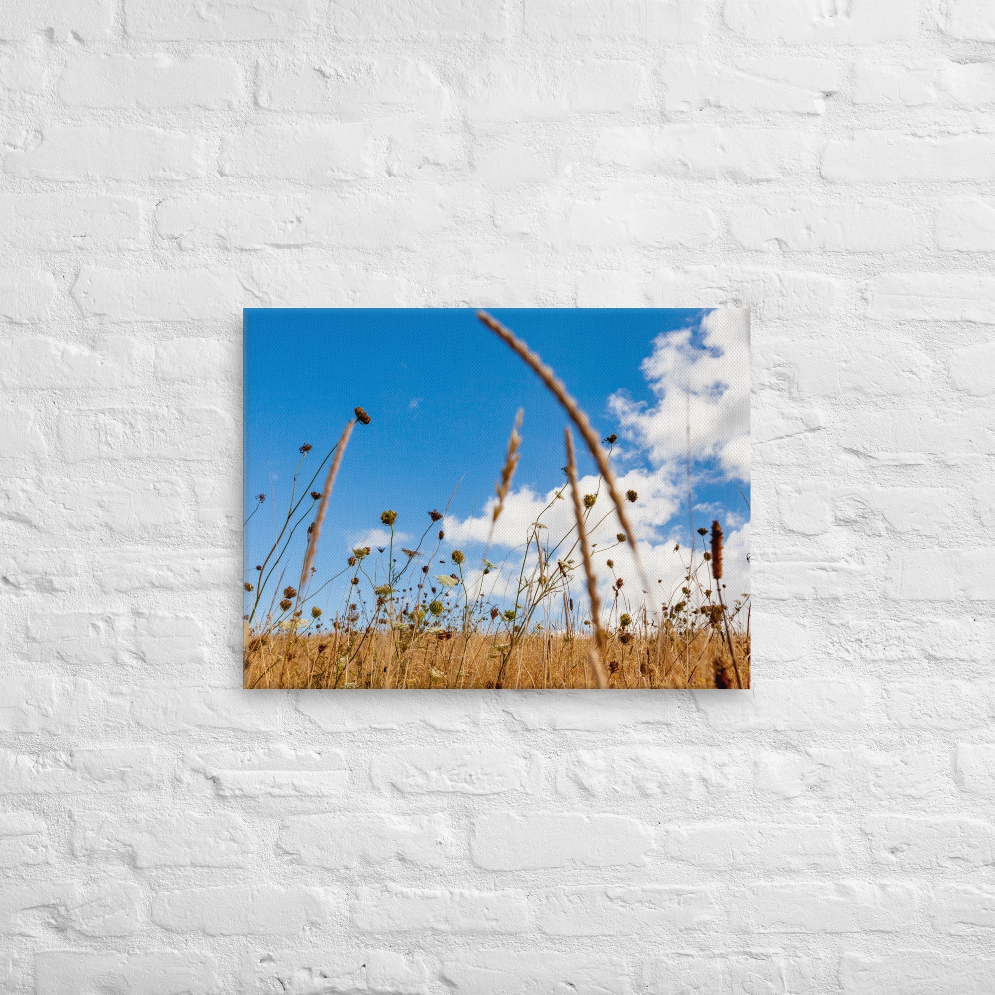 Hukatere Fields Thick Canvas Print