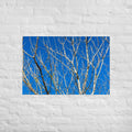 Kaipara Autumn Branches Art Paper Poster
