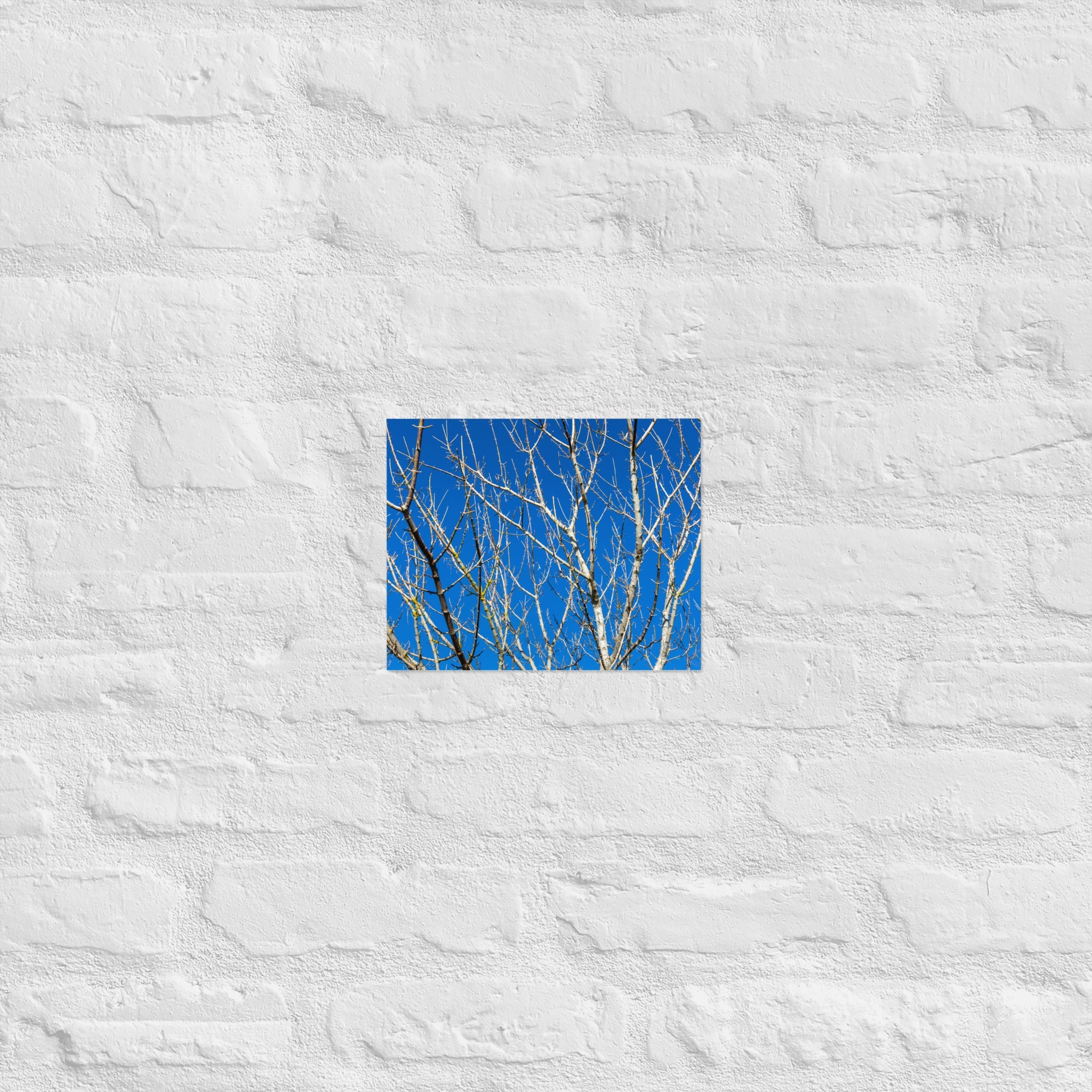 Kaipara Autumn Branches Art Paper Poster