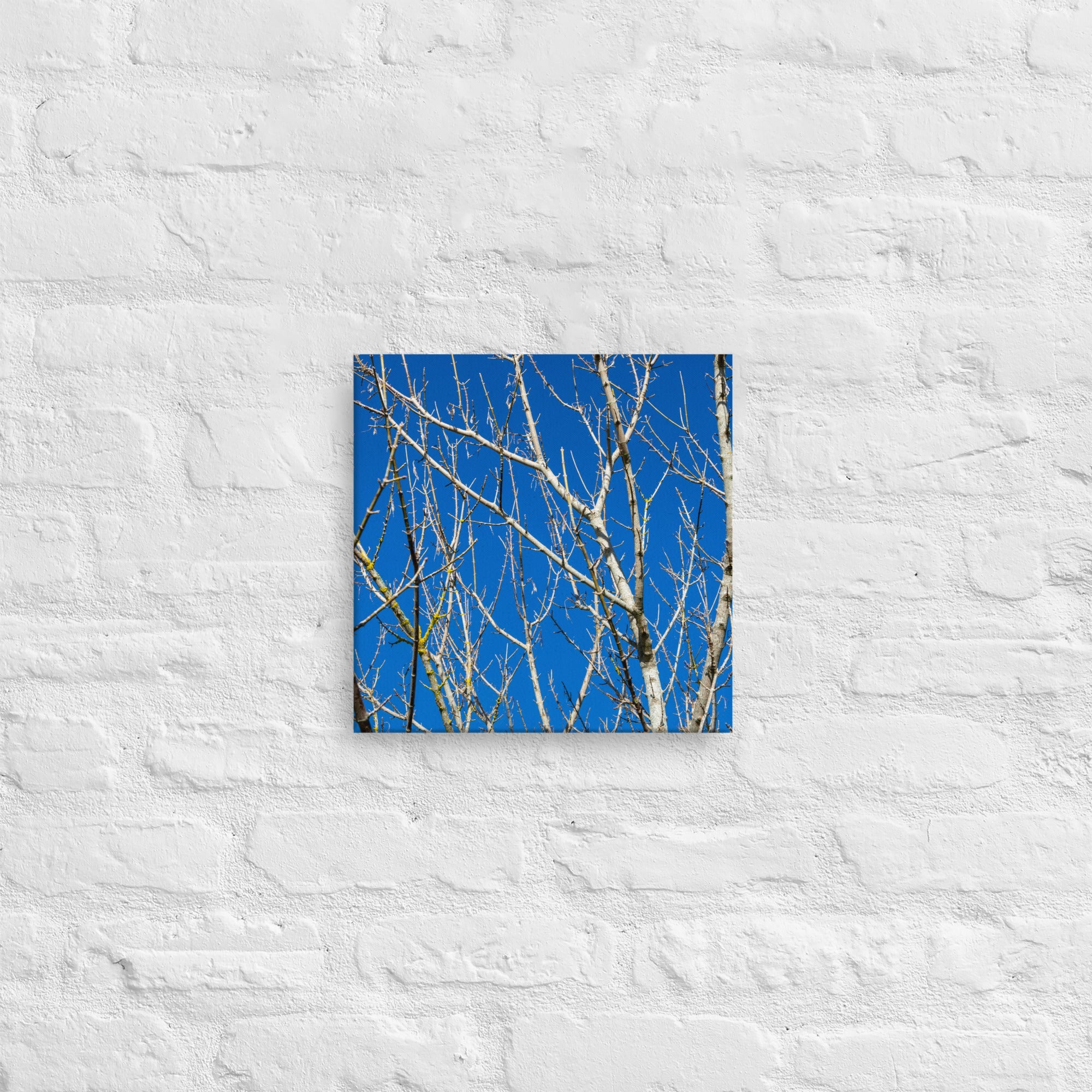 Kaipara Autumn Branches Thick Canvas Print