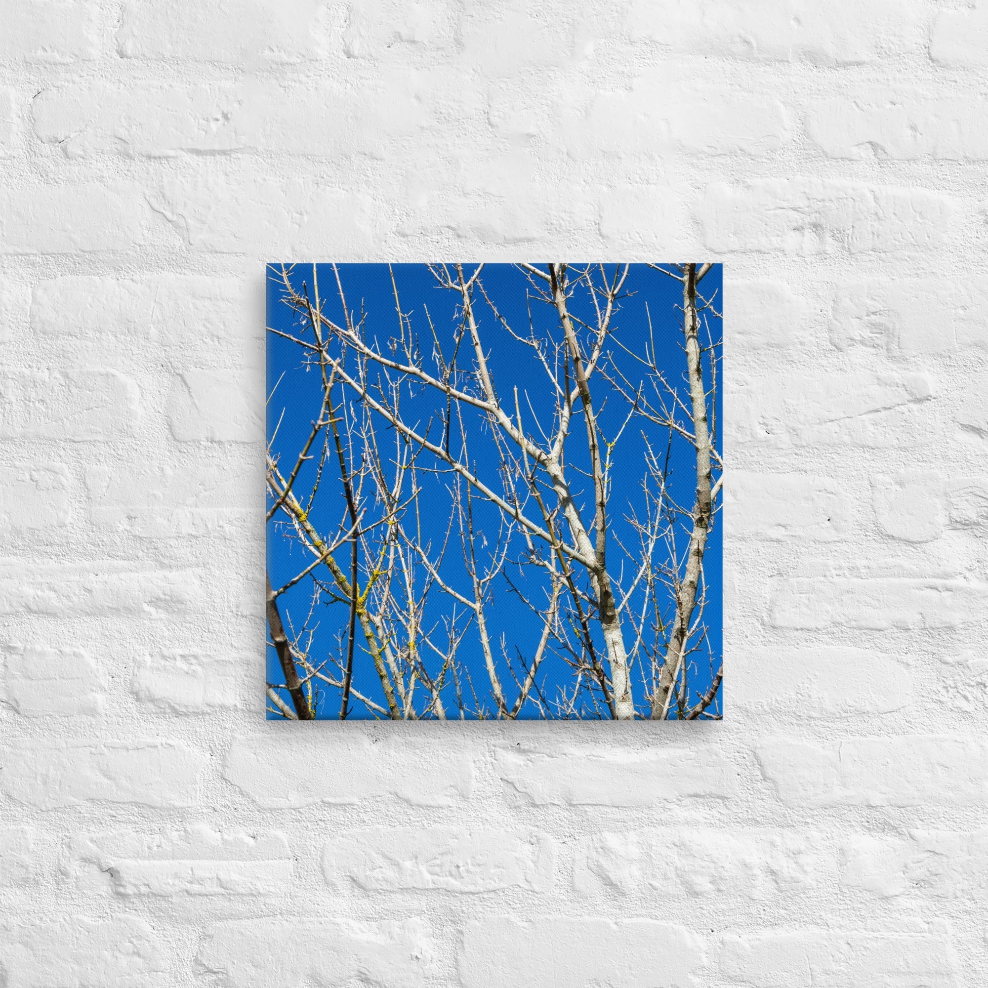 Kaipara Autumn Branches Thick Canvas Print