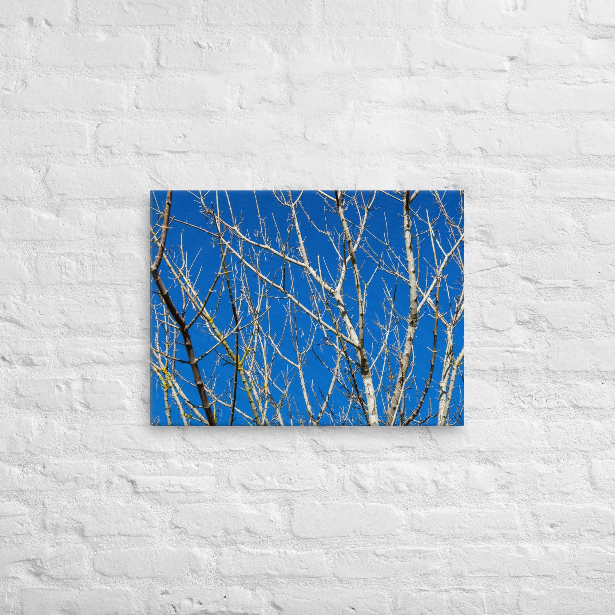 Kaipara Autumn Branches Thick Canvas Print