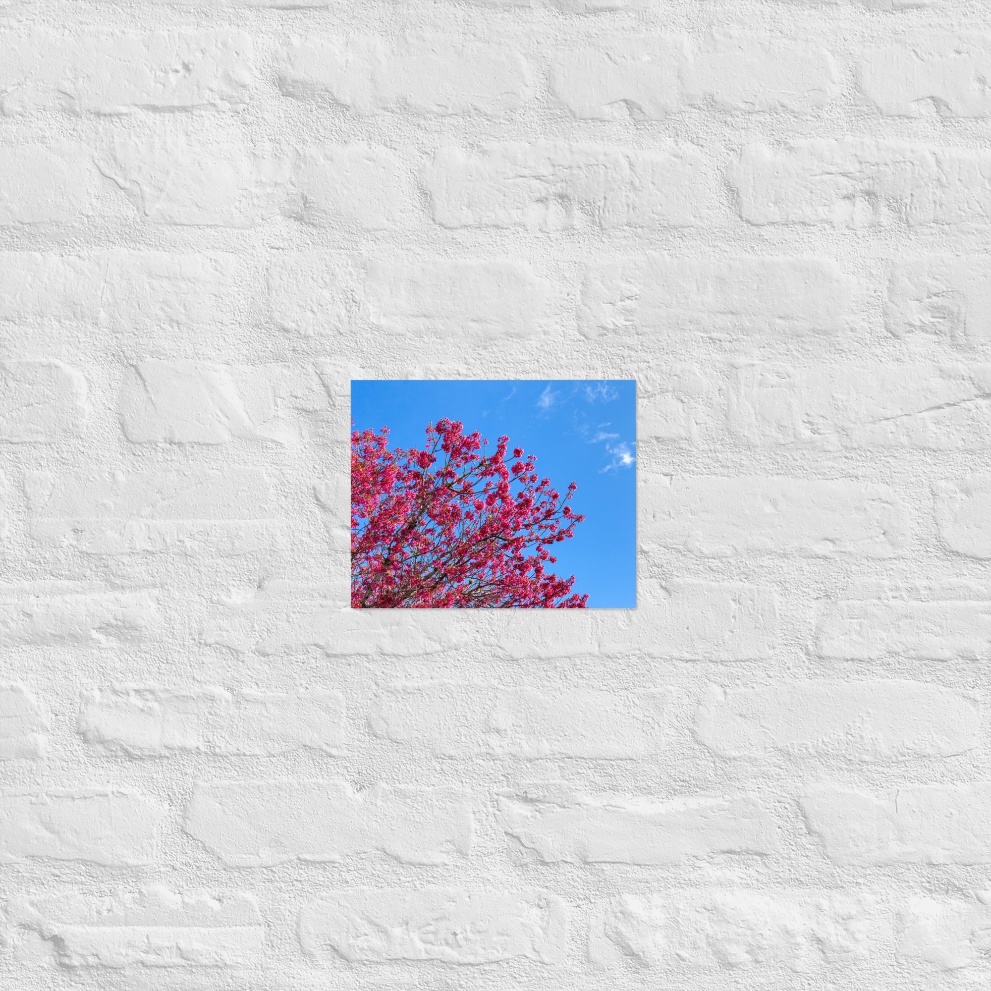 Kaipara Spring Blossoms Art Paper Poster