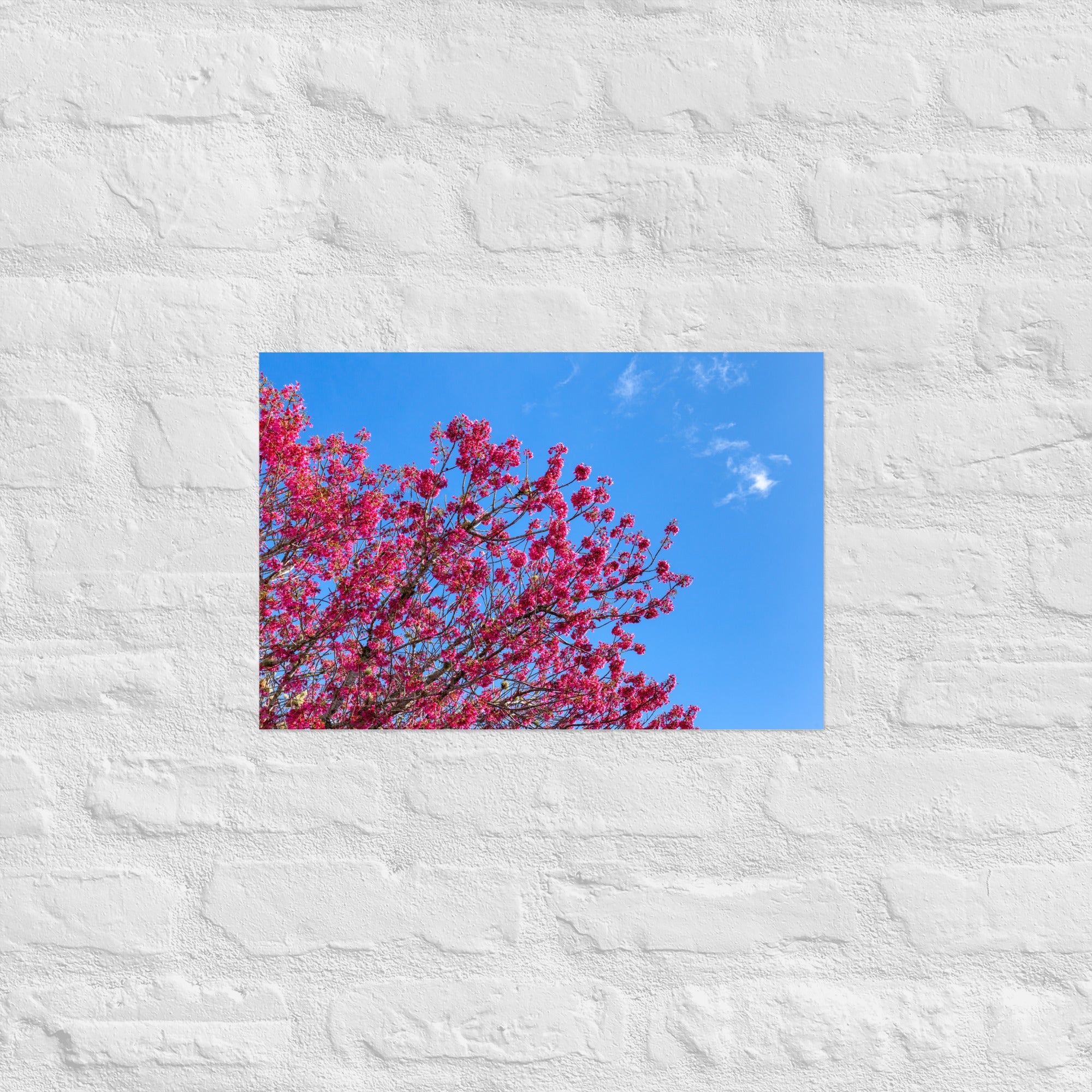 Kaipara Spring Blossoms Art Paper Poster