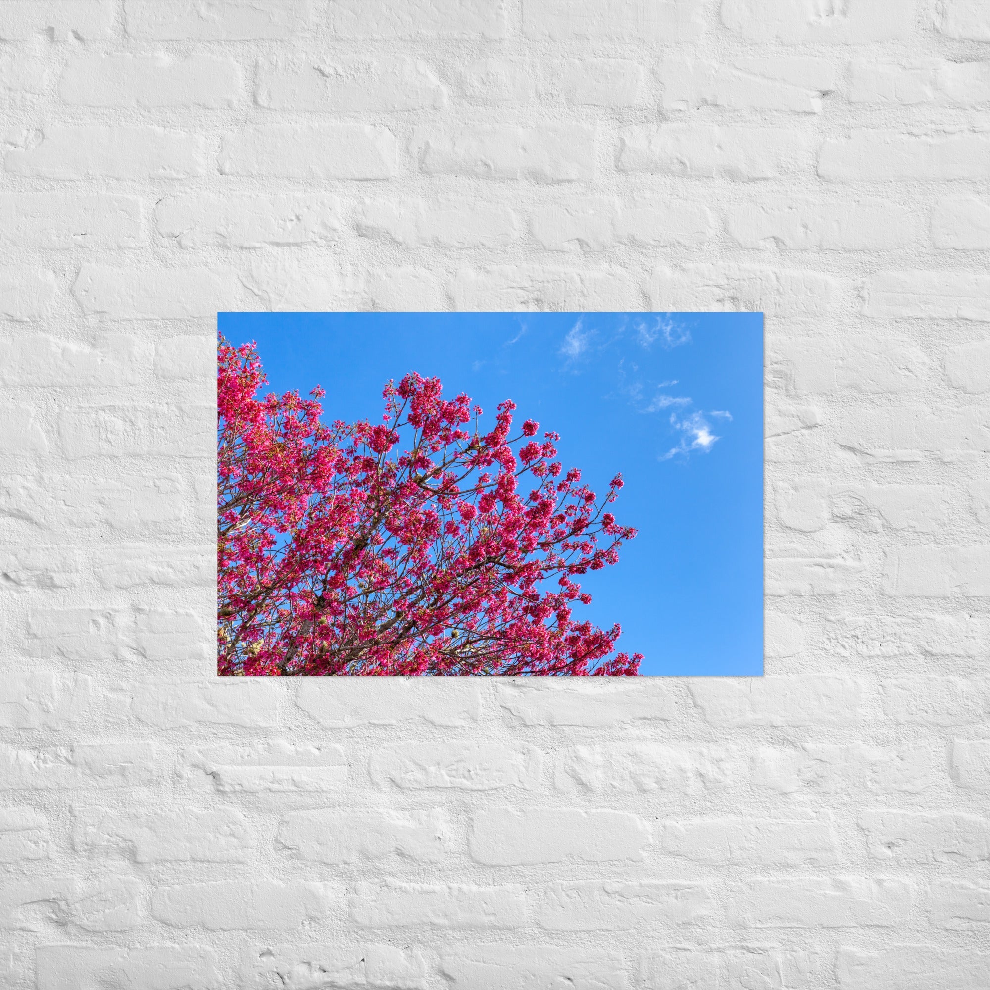 Kaipara Spring Blossoms Art Paper Poster