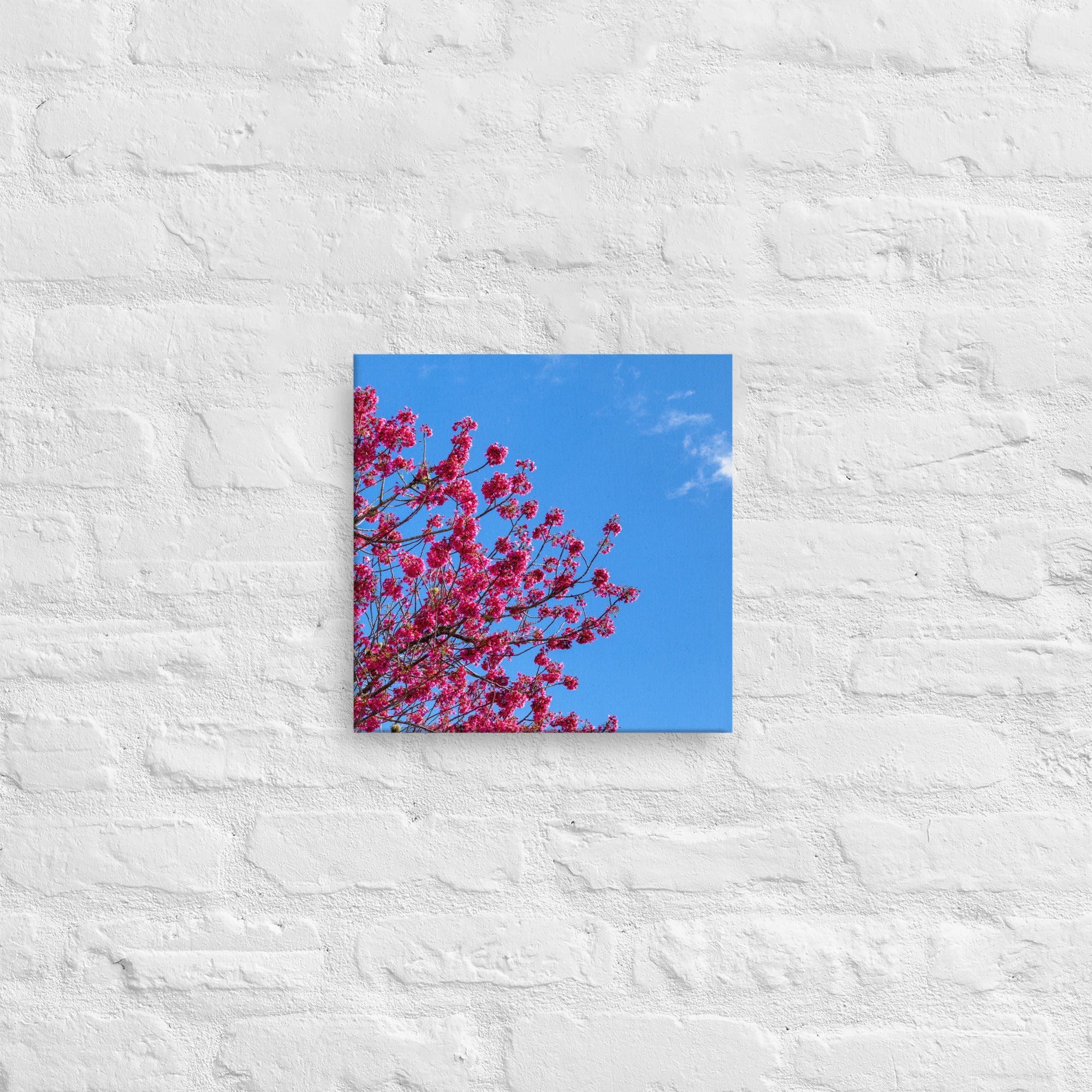 Kaipara Spring Blossoms Thick Canvas Print