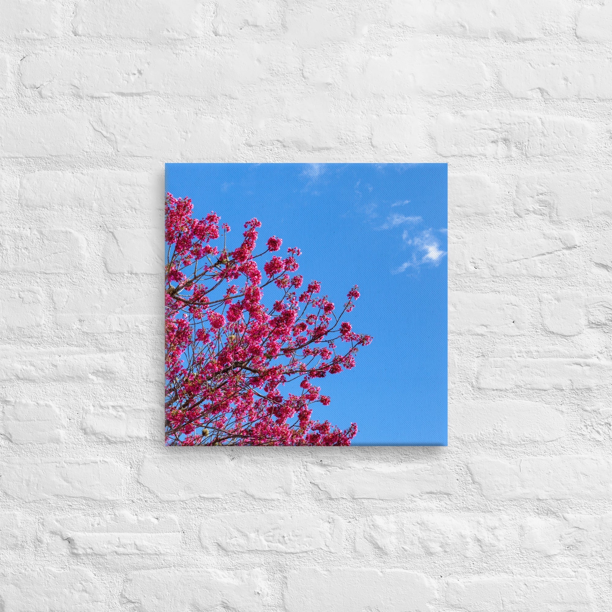 Kaipara Spring Blossoms Thick Canvas Print