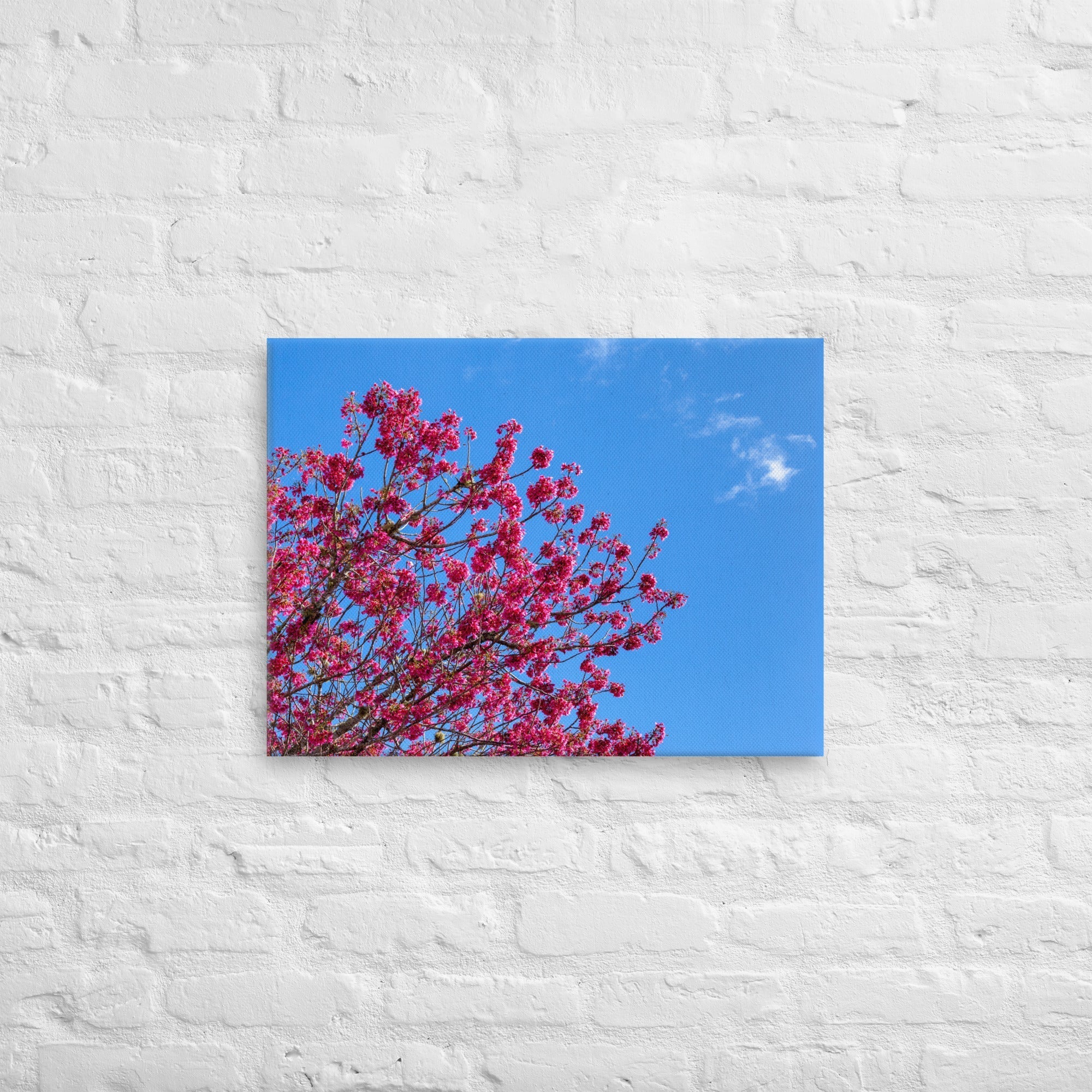 Kaipara Spring Blossoms Thick Canvas Print