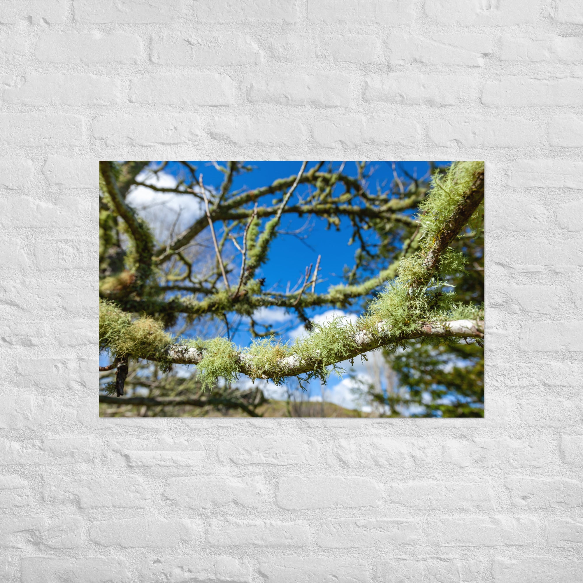 Matakohe Moss Art Paper Poster