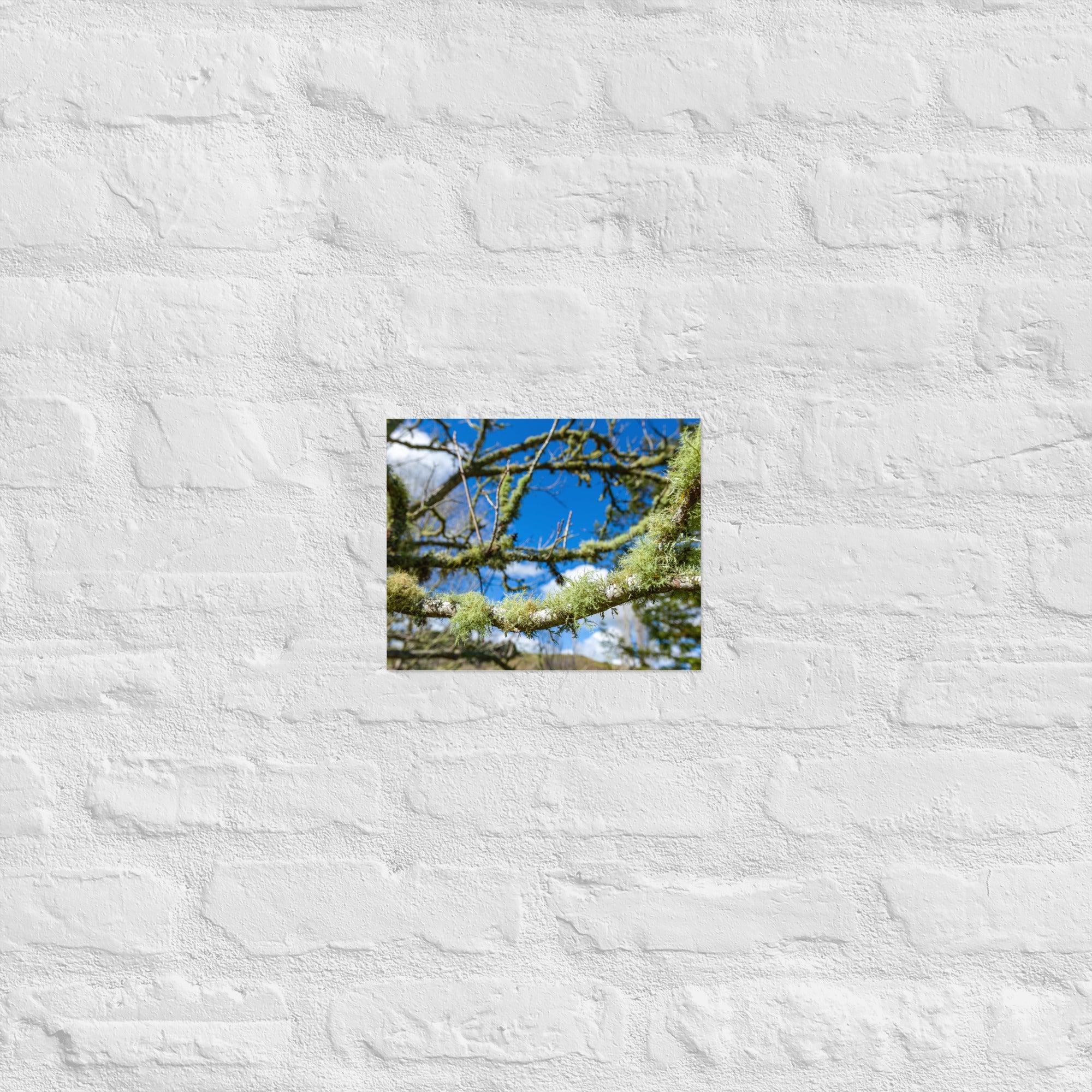 Matakohe Moss Art Paper Poster