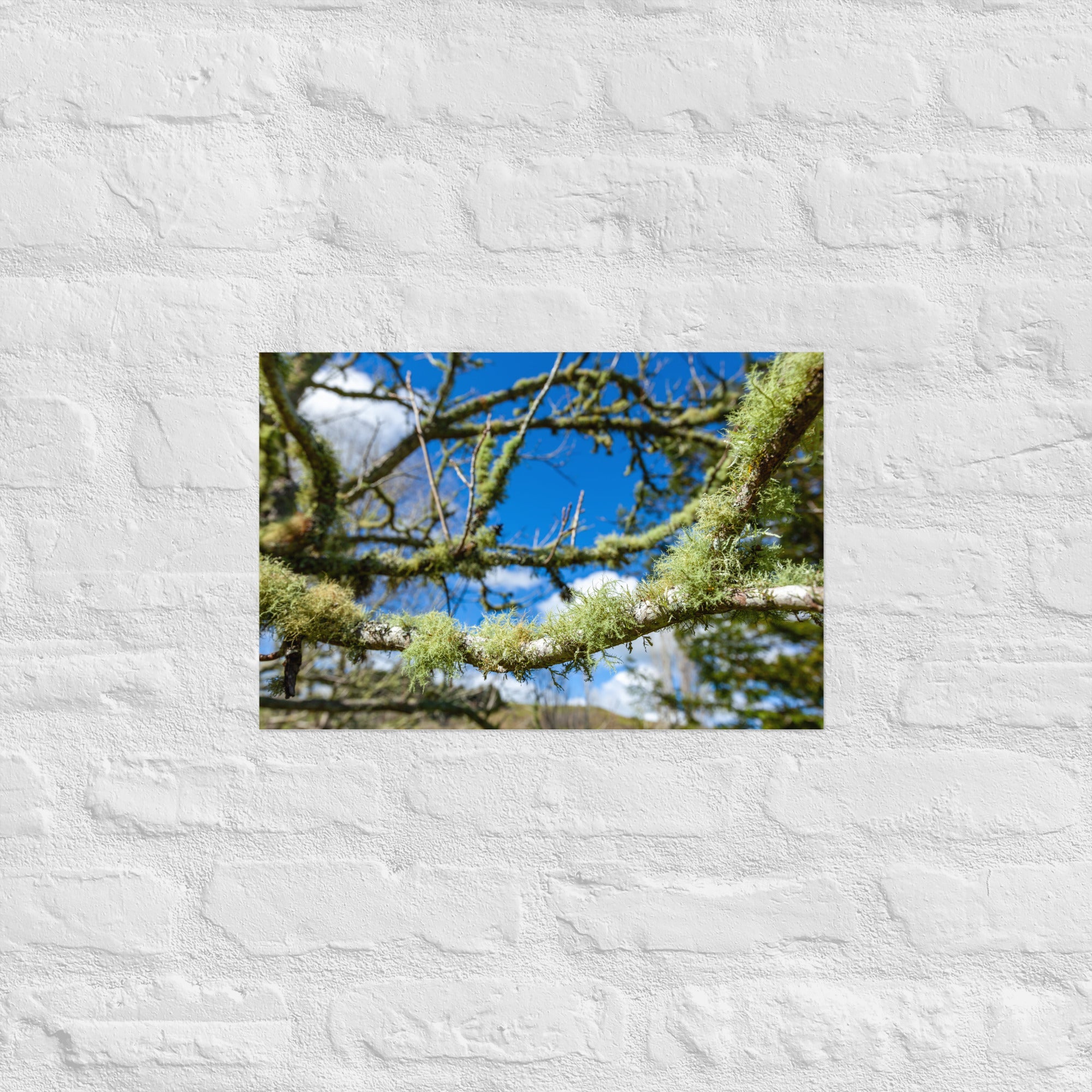 Matakohe Moss Art Paper Poster