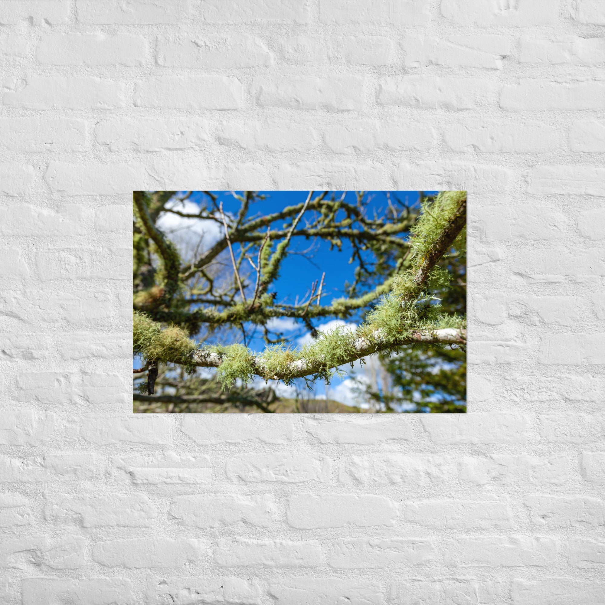 Matakohe Moss Art Paper Poster