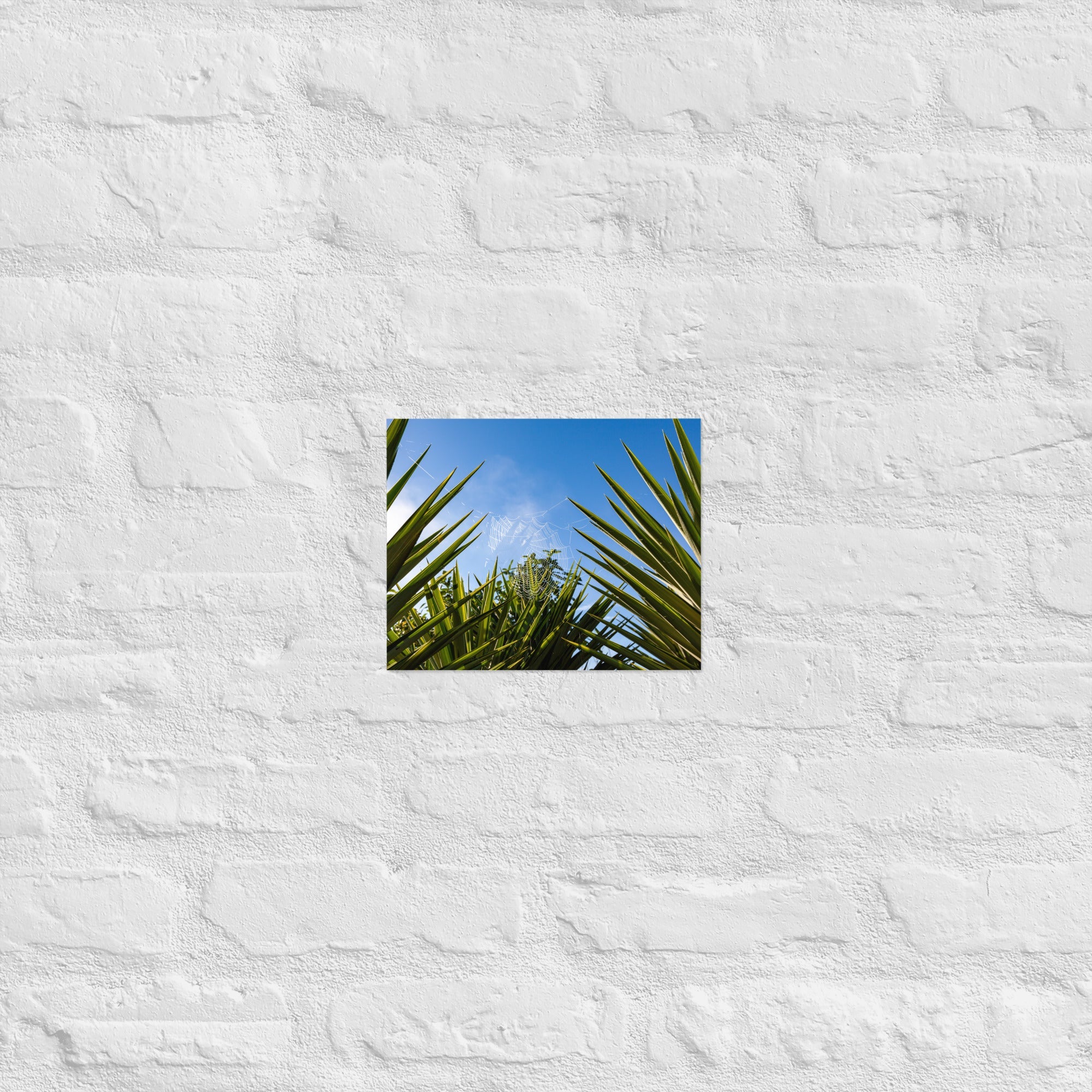 Matakohe Palm Web Art Paper Poster