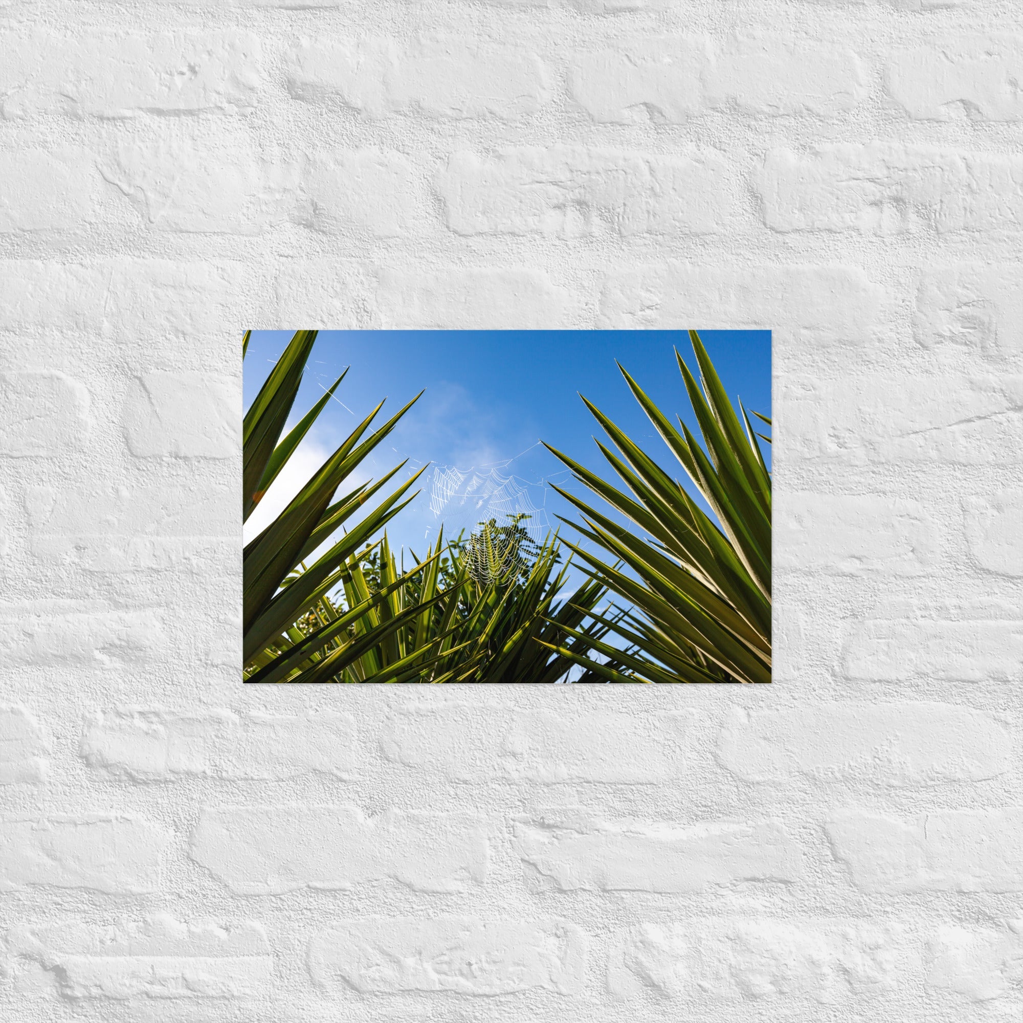 Matakohe Palm Web Art Paper Poster