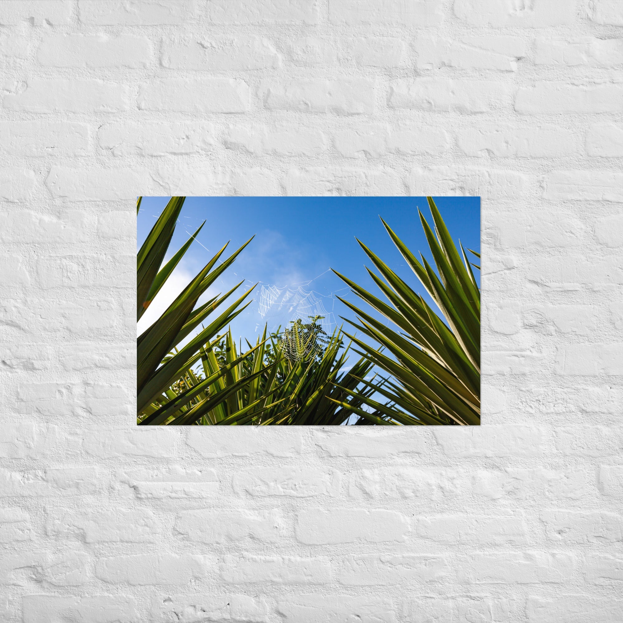 Matakohe Palm Web Art Paper Poster