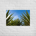 Matakohe Palm Web Art Paper Poster
