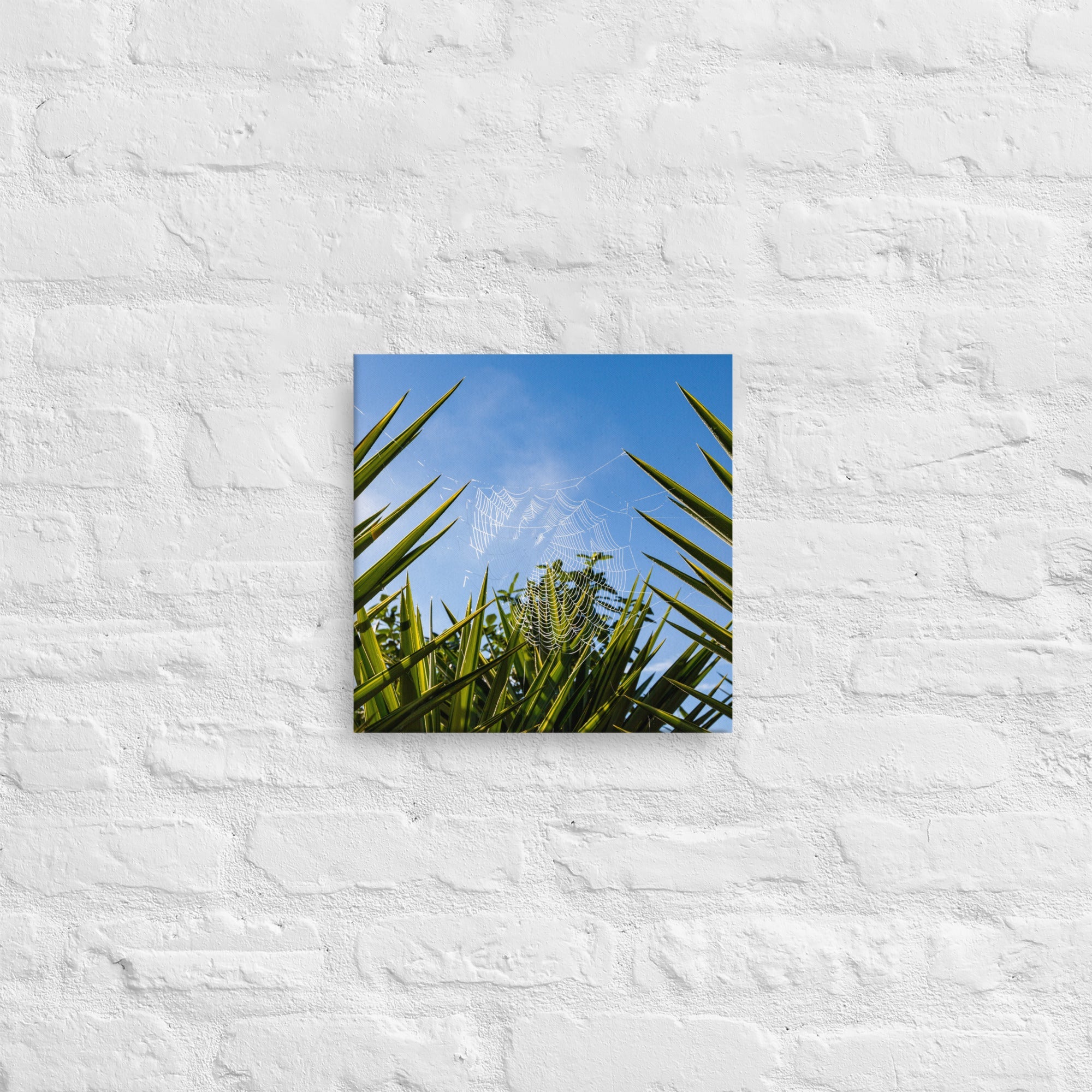 Matakohe Palm Web Thick Canvas Print