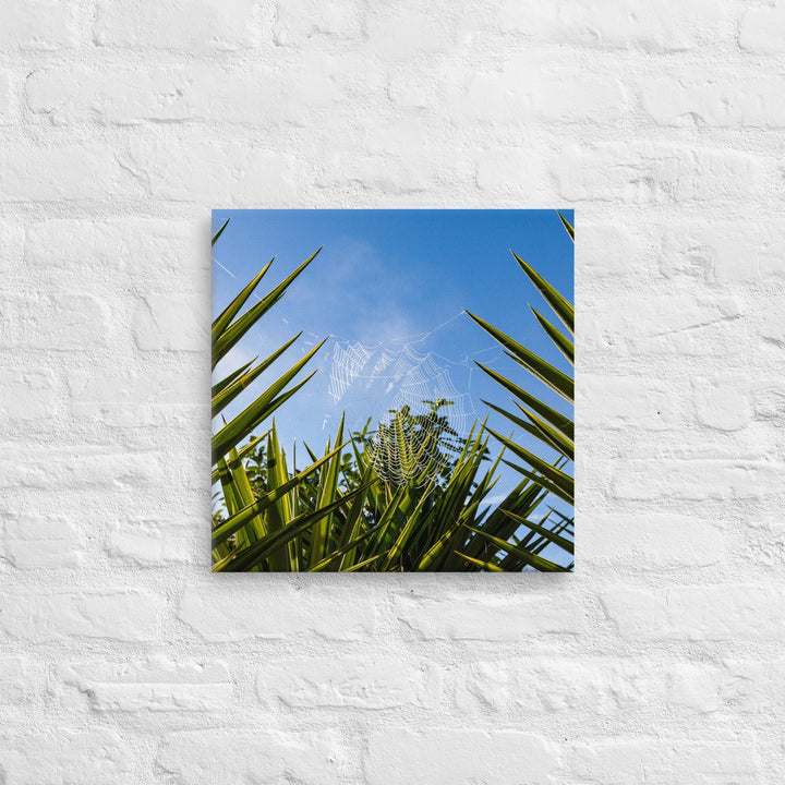 Matakohe Palm Web Thick Canvas Print