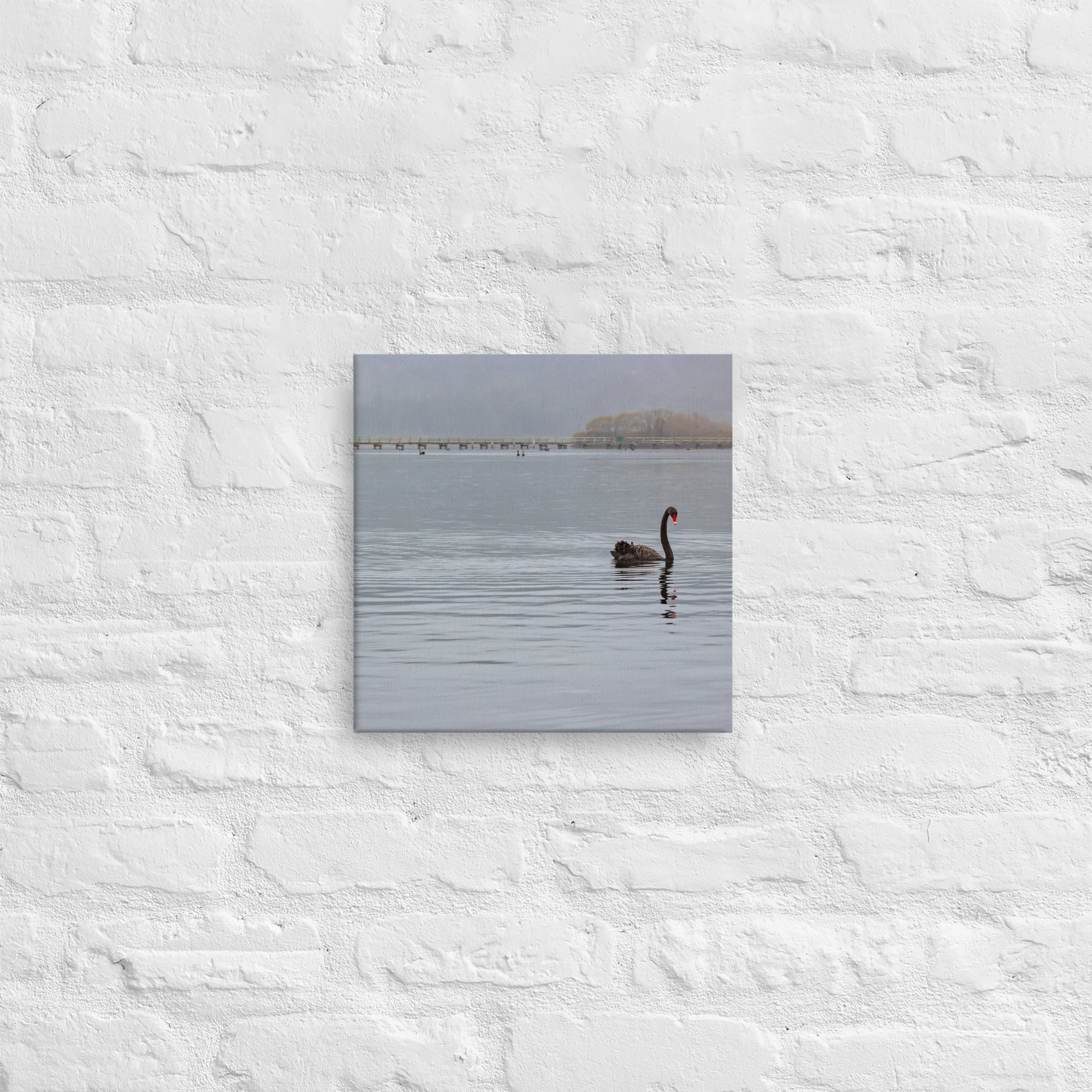 Turangi Swan Thick Canvas Print