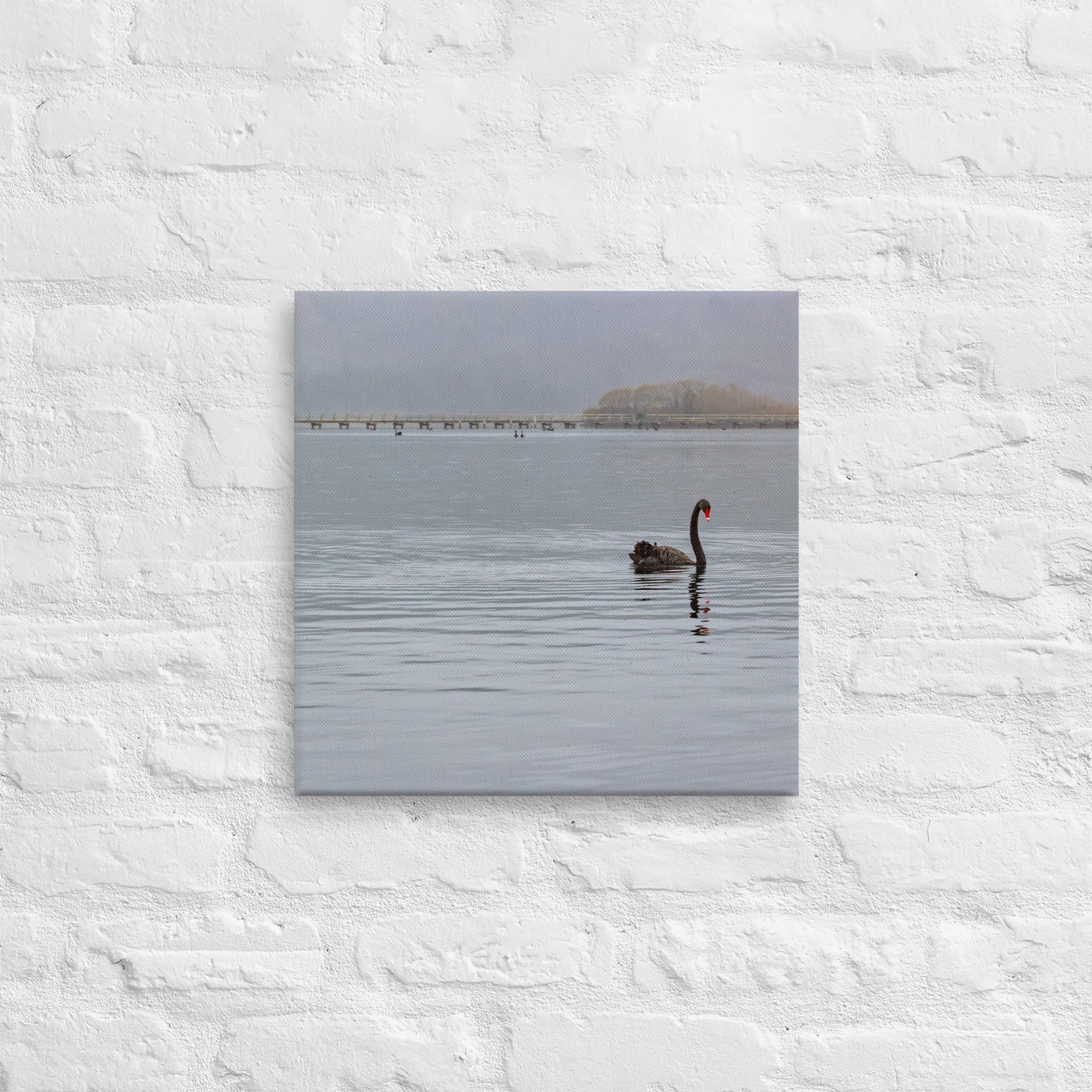 Turangi Swan Thick Canvas Print