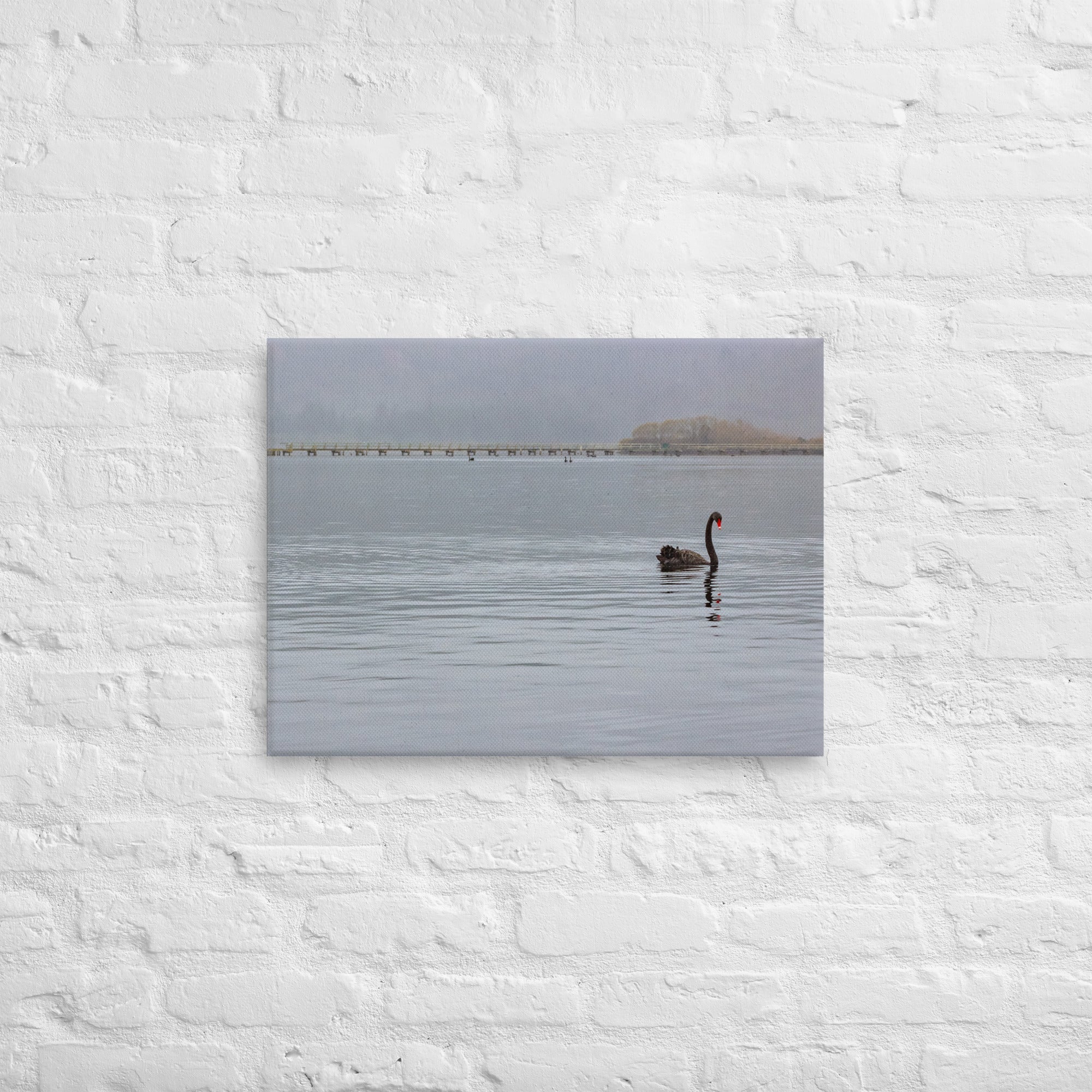 Turangi Swan Thick Canvas Print