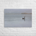 Turangi Swan Thick Canvas Print